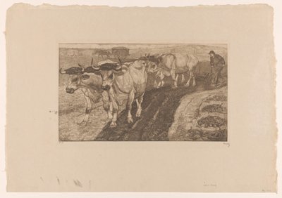 Vier pflügende Ochsen von Pieter Dupont (signed by artist)