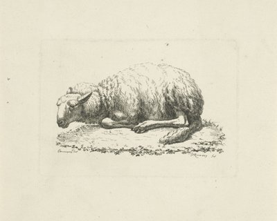 Liegendes Schaf von Pieter Roosing
