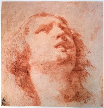Kopfstudie einer Frau, die nach oben schaut, 17. Jahrhundert von Pietro da Cortona
