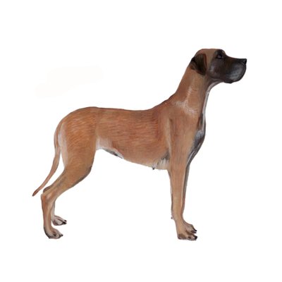 Deutsche Dogge, 2011 von Polly Horner