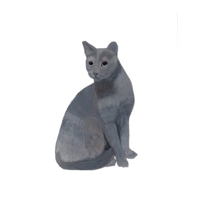 Russisch Blau, 2014 von Polly Horner