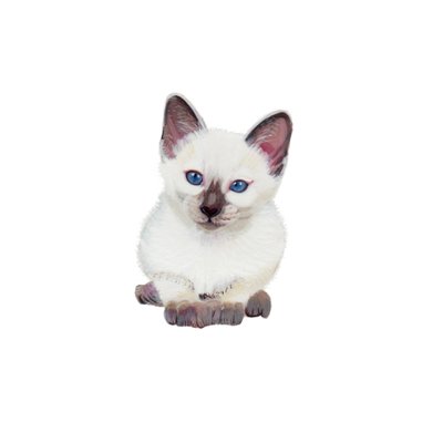 Siamkatze von Polly Horner