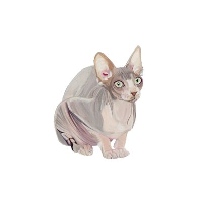 Sphinx, 2014 von Polly Horner