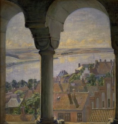 Ein Blick vom Turm des Viborg Doms von Poul S. Christiansen