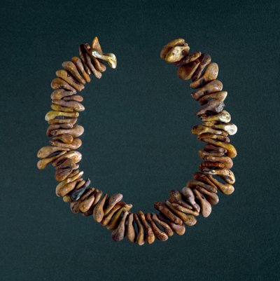 Vorgeschichte, Steinzeit: Halskette aus Knochen aus der Höhle von Polesine, Veneto. Rom, Museo Nazionale Preistorico Etnografico Luigi Pigorini von Prehistoric Prehistoric