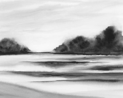 Neblige Waldlandschaft von Rachel Elise