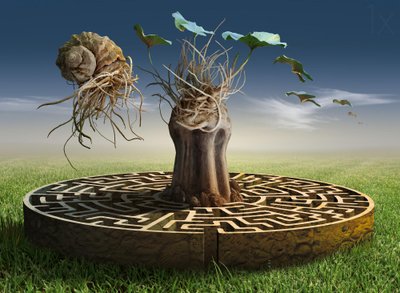 Traumlandschafts-Labyrinth von Radoslav Penchev