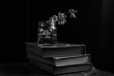 Stimmungsvolle Blüten auf Büchern von Ramiz Sahin