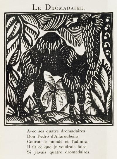 Das Dromedar, Illustration aus 