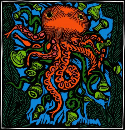Zoologie / Meeresleben / Oktopus von Raoul Dufy