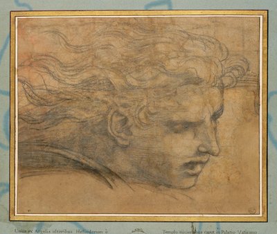 Kopf eines jungen Mannes, dreiviertel nach rechts von Raphael (1483-1520)