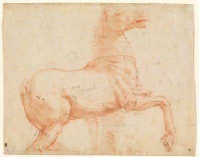 Ein Marmorpferd auf dem Quirinalshügel (recto) von Raphael (1483 1520)