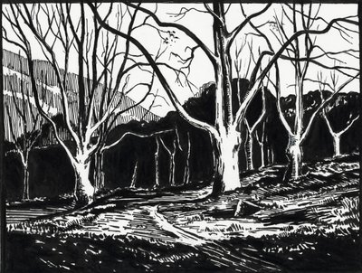 Wald im Winter von Raymond Bonnefon