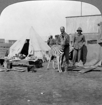 Südafrikanische Kanoniere mit ihrem Zebra-Haustier, Ostafrika, Erster Weltkrieg, 1914-1918 von Realistic Travels Publishers