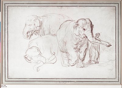 Drei Elefanten von Rembrandt Harmensz. van Rijn