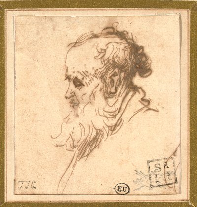 Kopf eines bärtigen Mannes im Profil nach links von Rembrandt van Rijn
