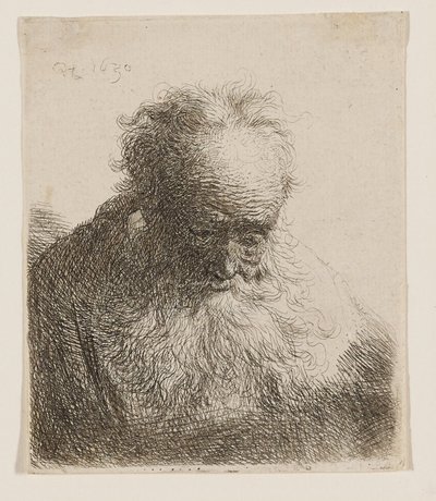 Alter Mann mit fließendem Bart (Kopf nach vorne geneigt, linke Schulter unbeschattet) von Rembrandt van Rijn
