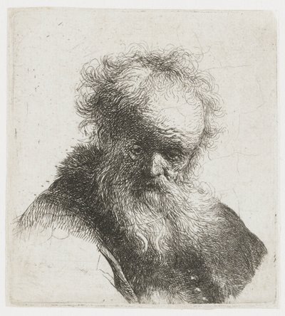 Alter Mann mit langem Bart, mit weißem Ärmel von Rembrandt van Rijn