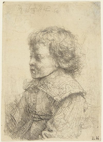 Porträt eines Jungen von Rembrandt van Rijn