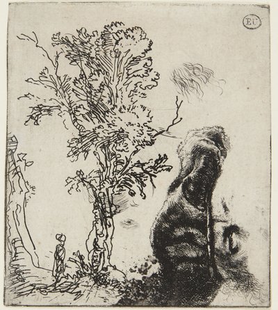 Blatt mit zwei Studien: Ein Baum und oberer Teil eines Selbstporträts mit Samtkappe von Rembrandt van Rijn