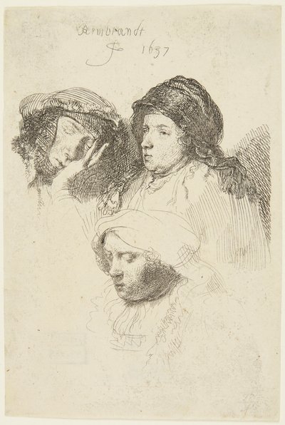 Drei Frauenköpfe von Rembrandt van Rijn
