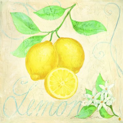 Frische Zitronen Botanisch von Renate Holzner