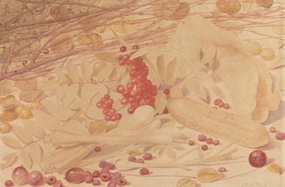 Stillleben mit Stachelbeeren, Himbeeren, roten Johannisbeeren, Frühlingszwiebeln, einer Essiggurke und Laub von Richard Dadd