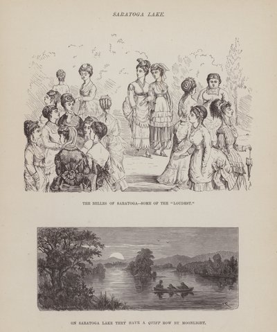 Seite aus The American Tour of Messrs Brown, Jones and Robinson (Gravur) von Richard Doyle