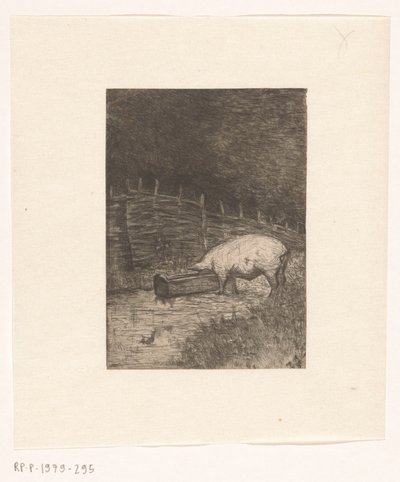 Schwein, das aus einem Trog frisst von Richard Nicolaüs Roland Holst