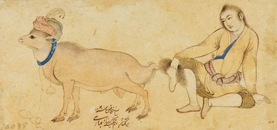 Studie eines jungen Mannes und eines Widders, 1630-31 oder später von Riza i Abbasi