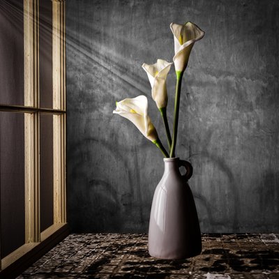 Calla-Lilien im Sonnenlicht von Rob Ryan