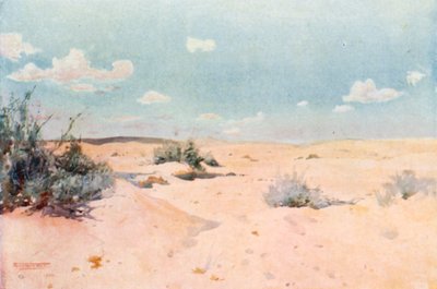 Eine Wüstenstudie in Tel-el-Kebir von Robert George Talbot Kelly