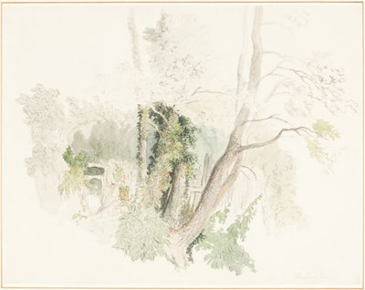  von Robert Hills