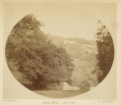 Box Hill, Surrey von Robert Howlett