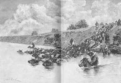 Rinderherde überquert den Uruguay, ca. 1885, 1890 von Robert Taylor Pritchett