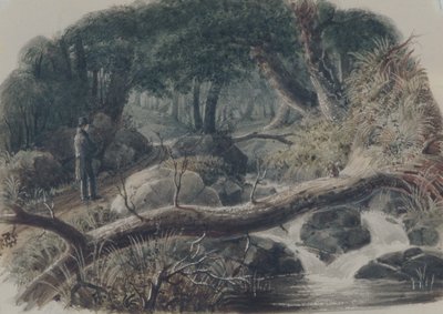 Der Eingang zu einem Wald von Robert Walter Weir