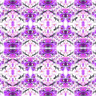 Orchideenwiederholung von Robyn Parker
