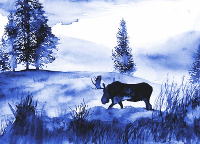 Winterliche Elchlandschaft von RodMacIver