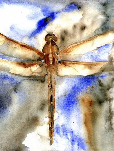 Blaue Aquarell-Libelle von RodMacIver