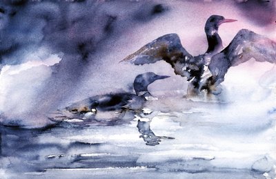 Wasservögel in der Dämmerung von RodMacIver