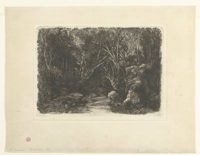 Waldlandschaft mit Bach und überhängenden Bäumen von Rodolphe Bresdin