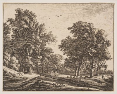 Nr. 4, aus Sechs Ansichten im Wald von Den Haag von Roelant Roghman