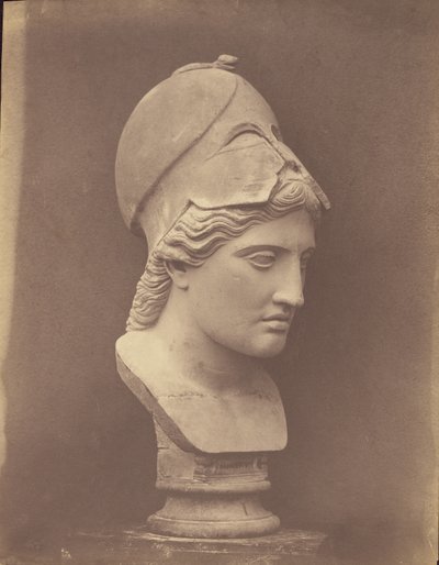 Kopf der Minerva [Dreiviertelansicht] von Roger Fenton