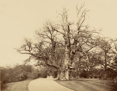  von Roger Fenton
