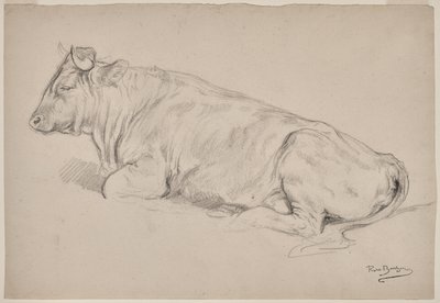 Ruhender Stier von Rosa Bonheur