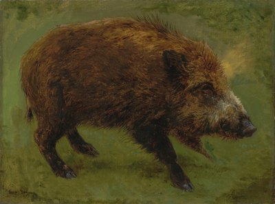 Le sanglier von Rosa Bonheur