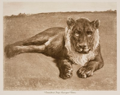 Löwe von Rosa Bonheur