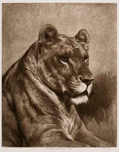 Löwin von Rosa Bonheur