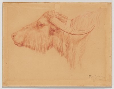 Wasserbüffel von Rosa Bonheur