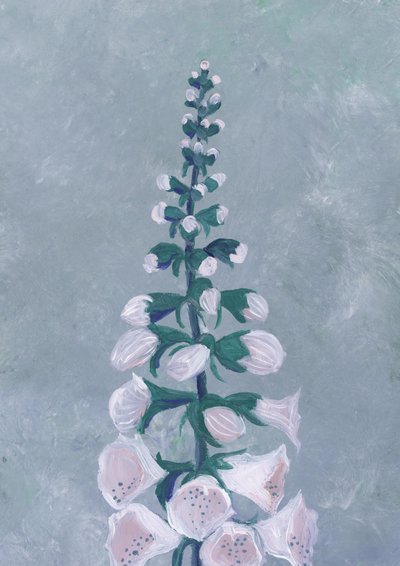 Weiße Fingerhutblüte von Rosana Laiz Blursbyai